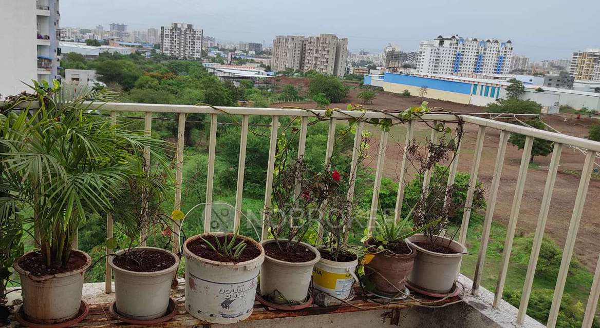 1 BHK Flat In Kingston Elysia For Sale  In Kondhwa Budruk