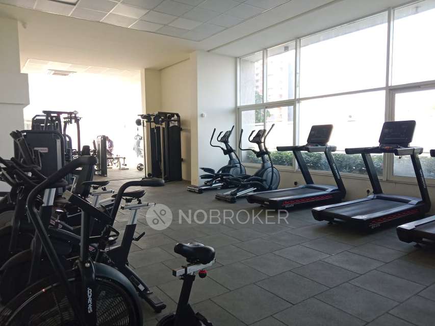 1 BHK Flat In Rohan Ananta  For Sale  In Tathawade