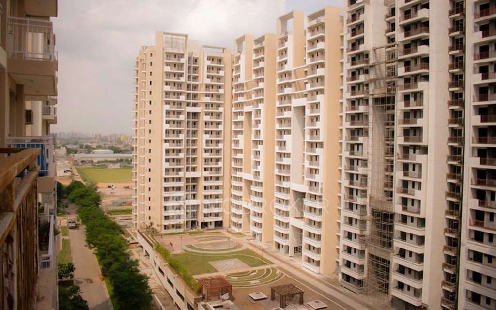 3 BHK Flat In Signature Global Deluxe Dxp For Sale  In Sector 37d