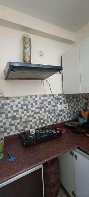 3 BHK Flat In Pent House Amarpali Zodiac For Sale  In Sector 120