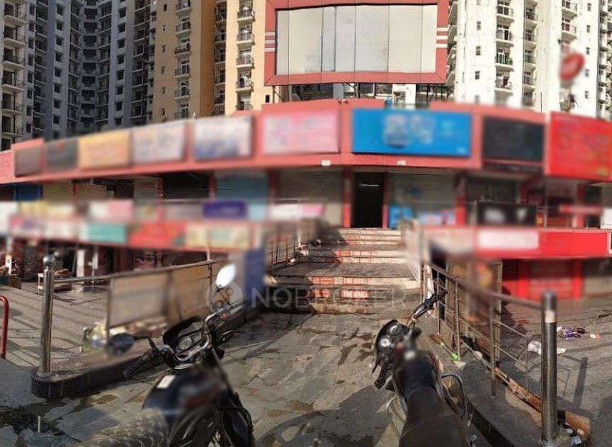 3 BHK Flat In Pent House Amarpali Zodiac For Sale  In Sector 120