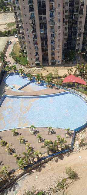 3 BHK Flat In Pent House Amarpali Zodiac For Sale  In Sector 120