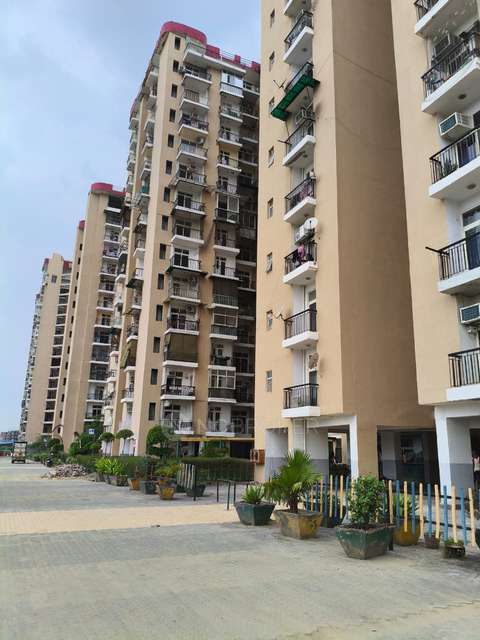 3 BHK Flat In Pent House Amarpali Zodiac For Sale  In Sector 120