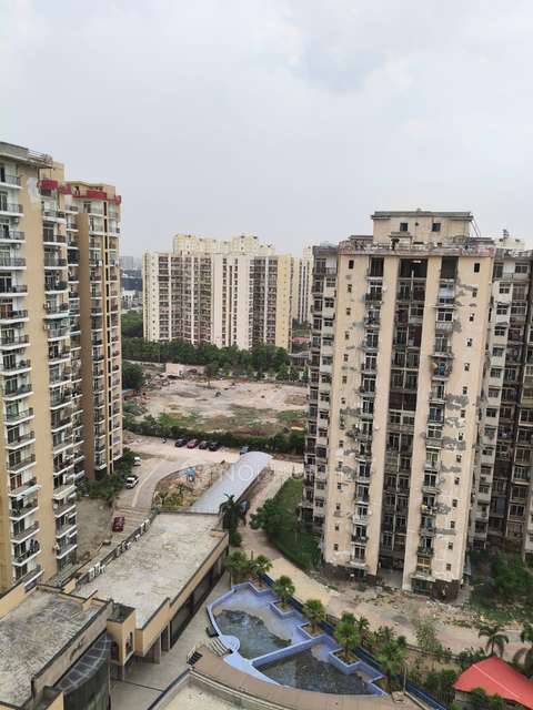 3 BHK Flat In Pent House Amarpali Zodiac For Sale  In Sector 120