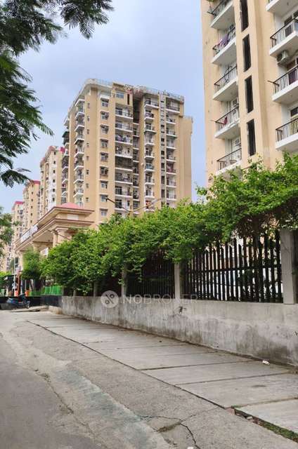 3 BHK Flat In Pent House Amarpali Zodiac For Sale  In Sector 120