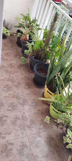 2 BHK Flat In Gcn Green Springs For Sale  In Vijayanagara, Whitefield