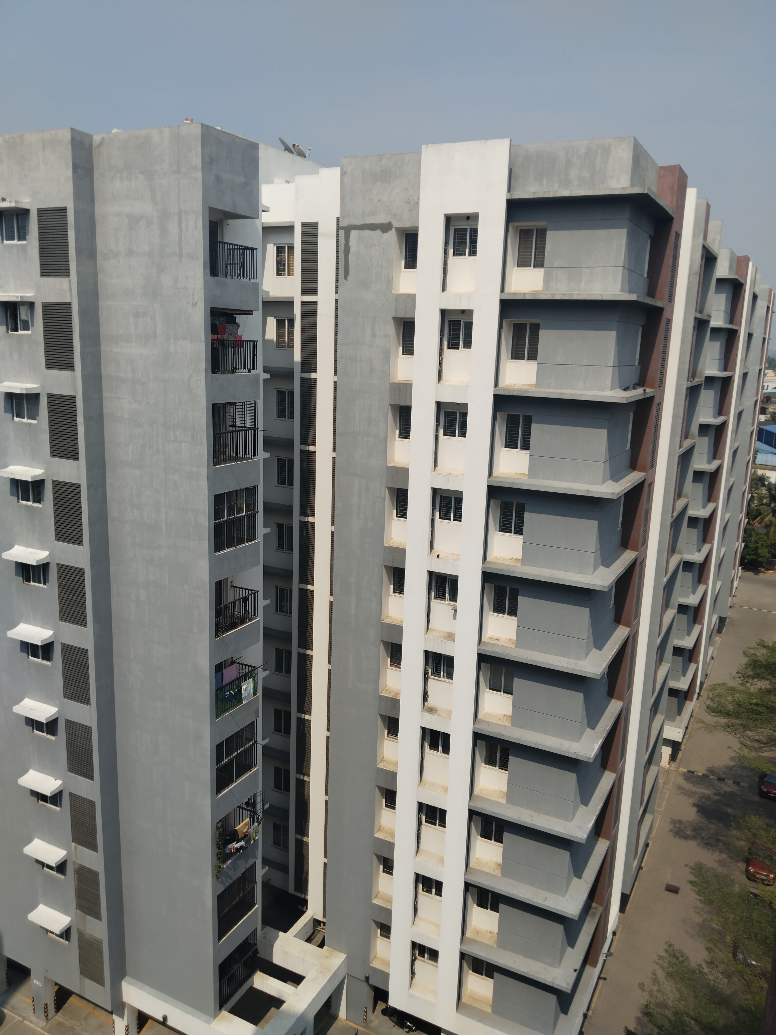 Appaswamy the Bloomingdale