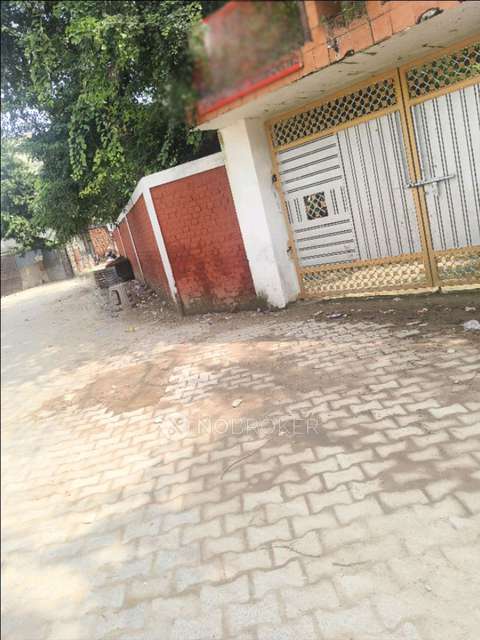 PG for Girls in Sector 38