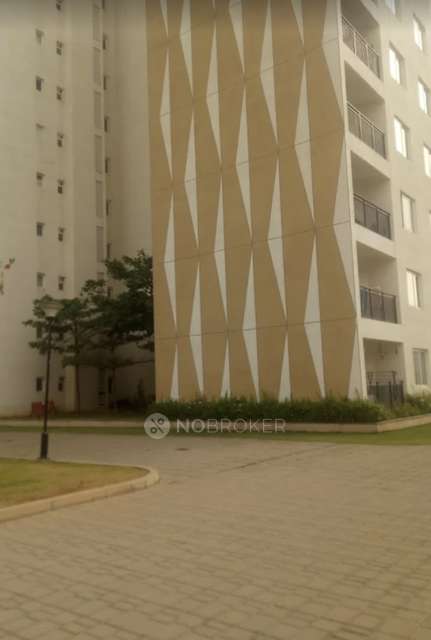 3 BHK Flat In Adarsh Pam Tree For Sale  In Bellandur