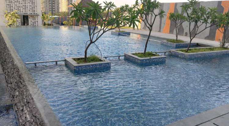 Shared Room for Male In 3 BHK  In Godrej Hillside 1 In Mahalunge