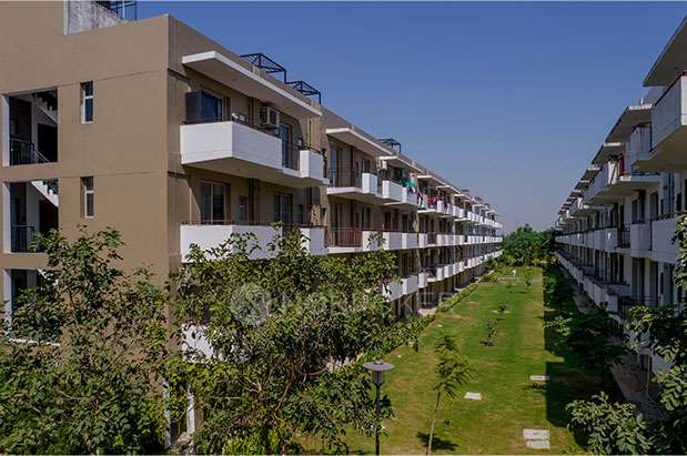 3 BHK Flat In Xpressions Floors, Sector 88b For Sale  In Vatika Xpressions