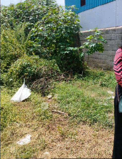 Plot For Sale  In Reva College