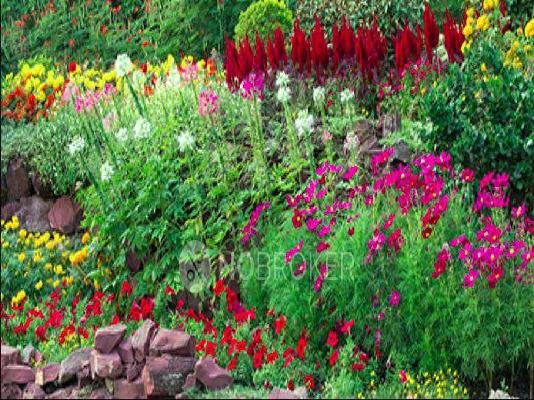 2 BHK Flat In Modern Neon For Sale  In Anekal