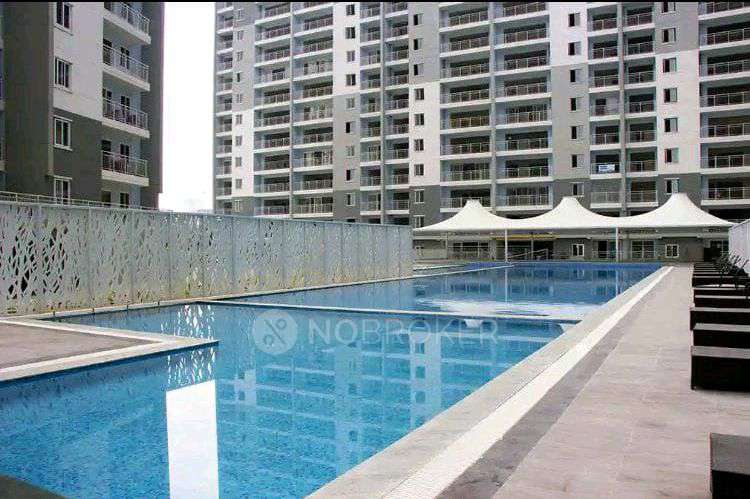 1 BHK Flat In Sjr Blue Waters For Sale  In Parappana Agrahara