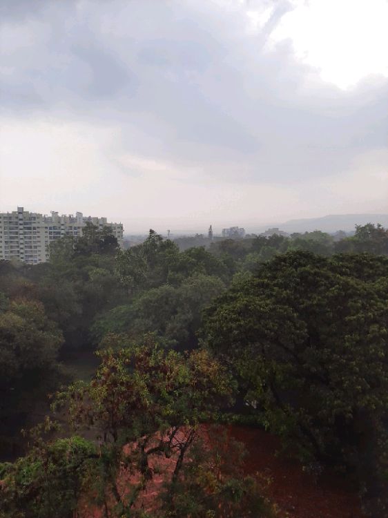 Jhala Manjri Greenwoods