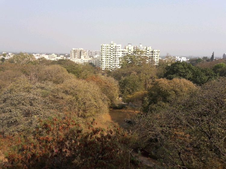 Jhala Manjri Greenwoods