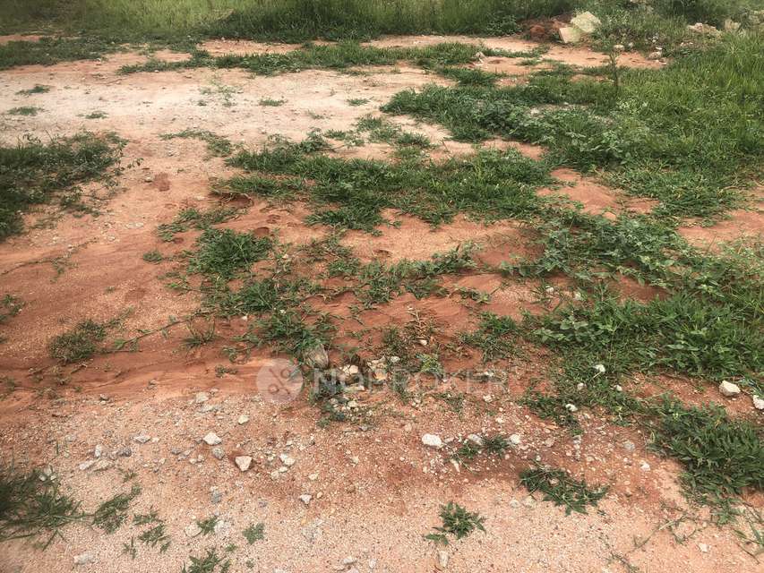 Plot For Sale  In Tivoli Hills Devanahalli In Devanahalli 