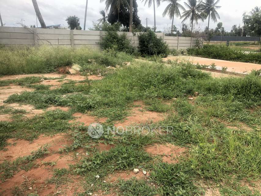 Plot For Sale  In Tivoli Hills Devanahalli In Devanahalli 