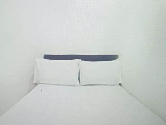 PG for Anyone in Sector 2