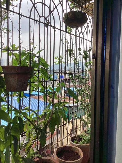 1 BHK Flat In Shree Rajal Garden For Sale  In Kopar Khairane