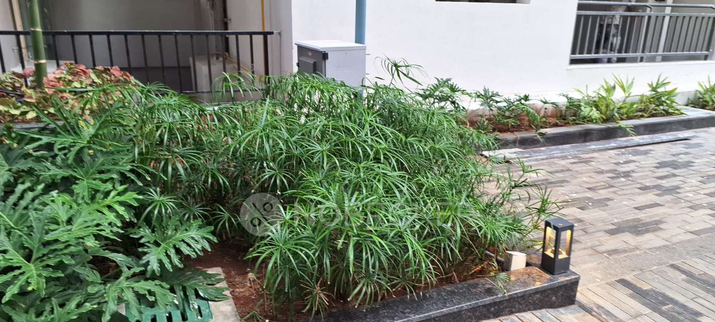 2 BHK Flat In Hallmark Skyrena For Sale  In Narsingi