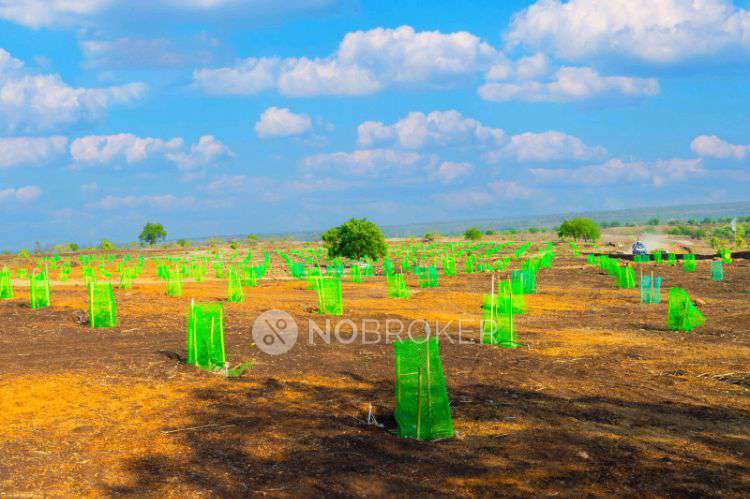 Plot For Sale  In The Agri Fields In C9qx+xg9, Guttala_begumpet, Kavuri Hills, Madhapur, Hyderabad, Telangana 500033, India