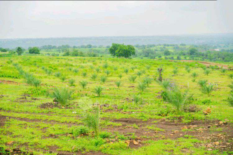 Plot For Sale  In The Agri Fields In C9qx+xg9, Guttala_begumpet, Kavuri Hills, Madhapur, Hyderabad, Telangana 500033, India