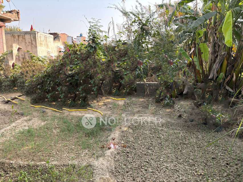 Plot For Sale  In Agraula
