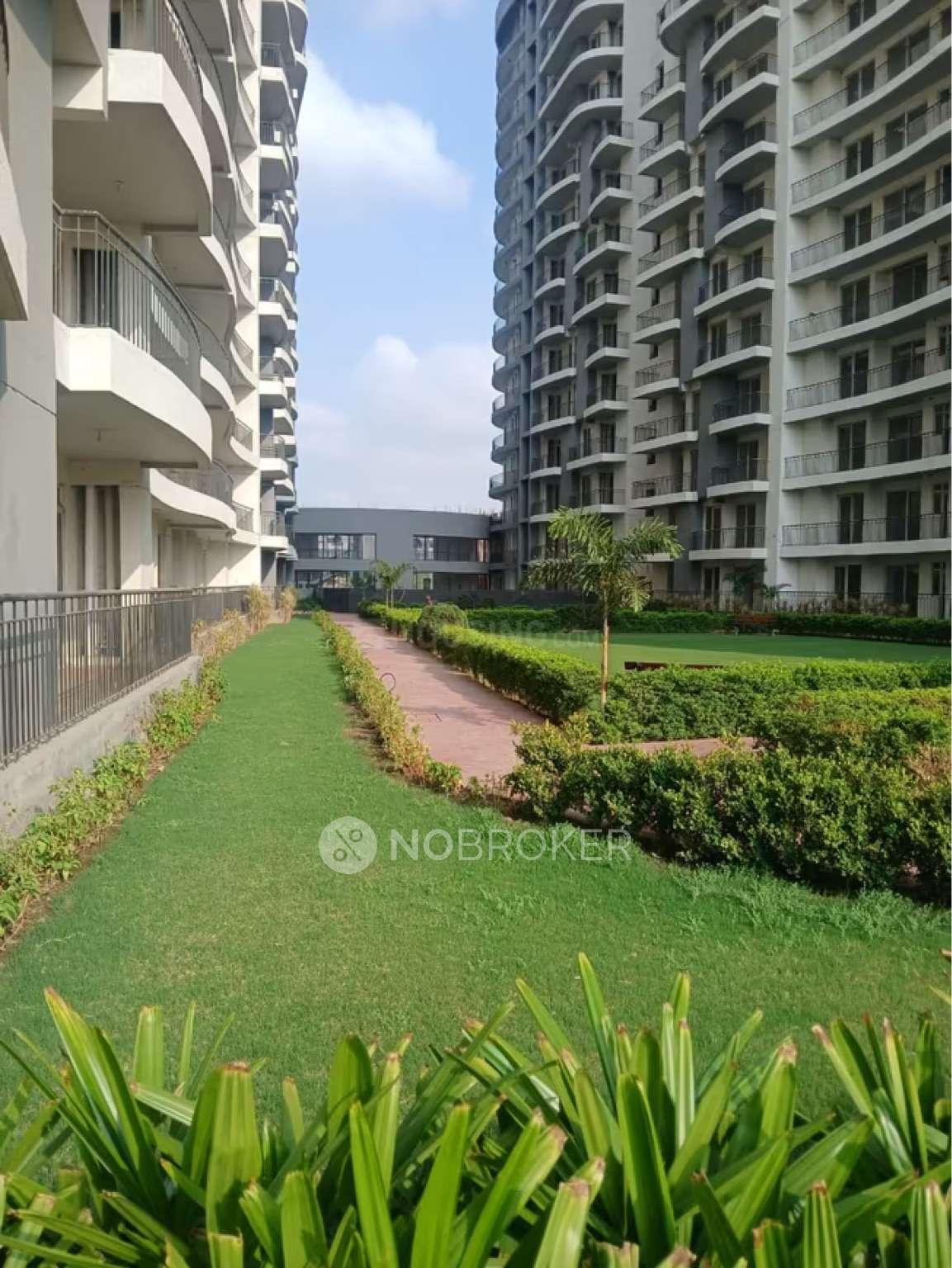 Home&Soul Beetle Lap