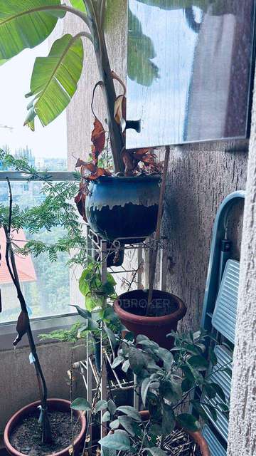 1 BHK Flat In Vtp Cygnus For Sale  In Manjari Budruk