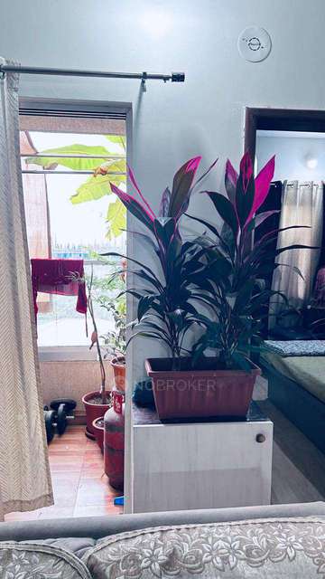 1 BHK Flat In Vtp Cygnus For Sale  In Manjari Budruk