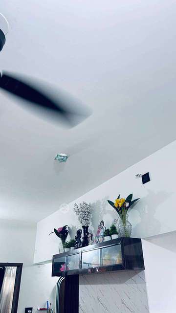 1 BHK Flat In Vtp Cygnus For Sale  In Manjari Budruk