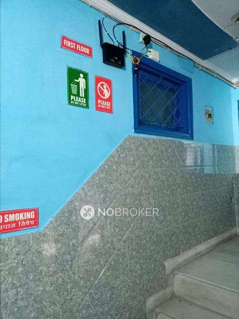 PG for Girls in Shakarpur Khas