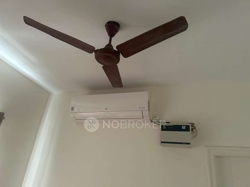 2 BHK Flat In Stellar Developer - Blue Tide for Rent  In Stellar Developer - Blue Tide