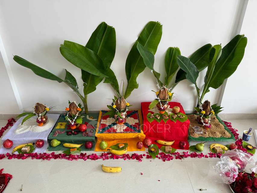 2 BHK Flat In Krisala 41 Estera for Rent  In  Punawale