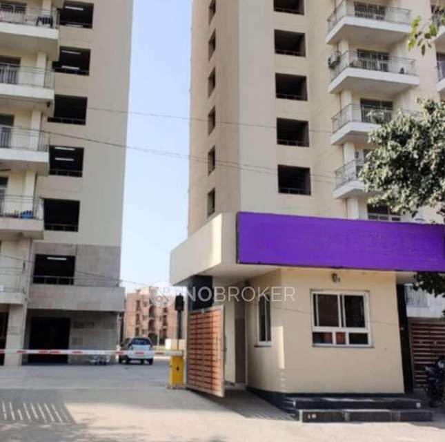 1 BHK Flat In Dda Flat For Sale  In Dwarka