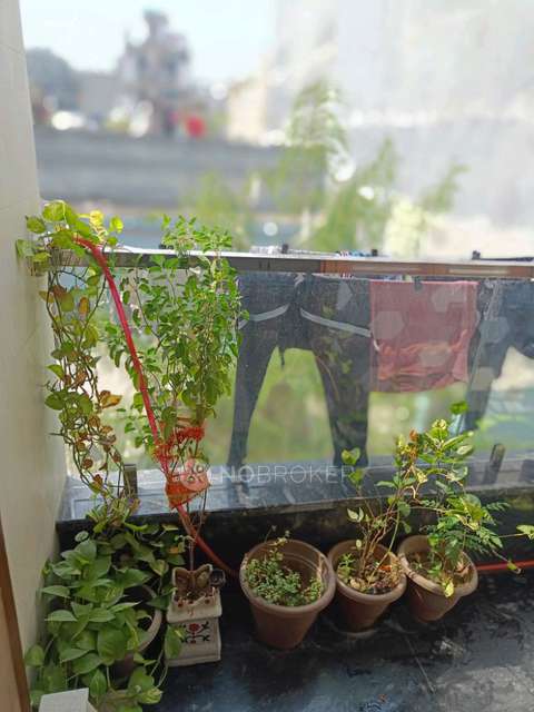 3 BHK Flat In Vaikunth Apartment For Sale  In C2, Vijay Vihar Phase I, Phase 1, Pocket D, Vijay Vihar, Rohini, New Delhi, Delhi, 110085, India