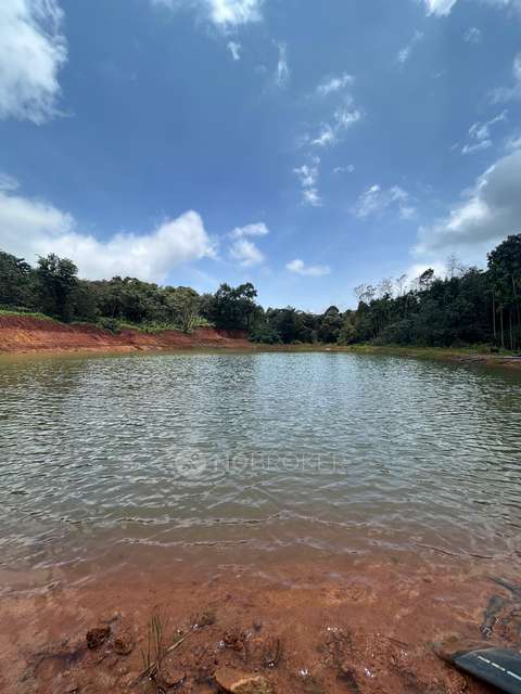 Plot For Sale  In Sakleshpur Coffee Works & Stationeries