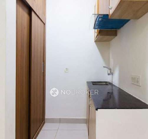 PG for Boys in Sector 48