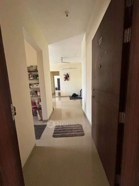2 BHK Flat In Beverly Hills Society for Rent  In Hinjewadi