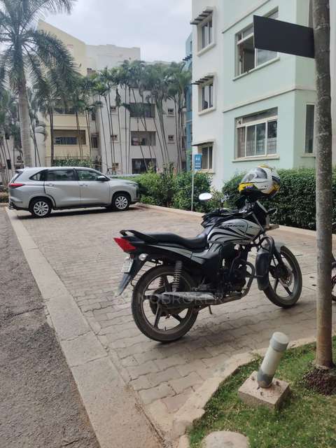 3 BHK Flat In Prestige Palms For Sale  In Whitefield