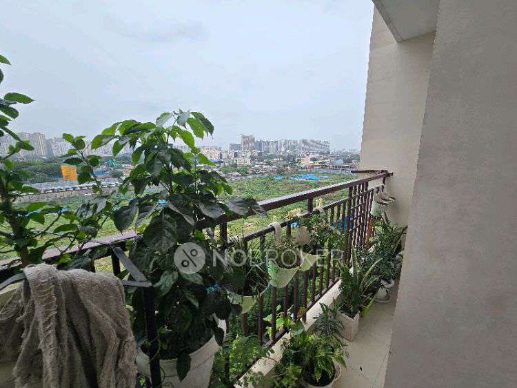 2 BHK Flat In Ace Divino For Sale  In Ace Divino Noida