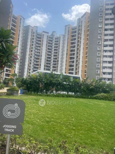 1 BHK Flat In  Joyville Hinjawadi for Rent  In  Hinjawadi
