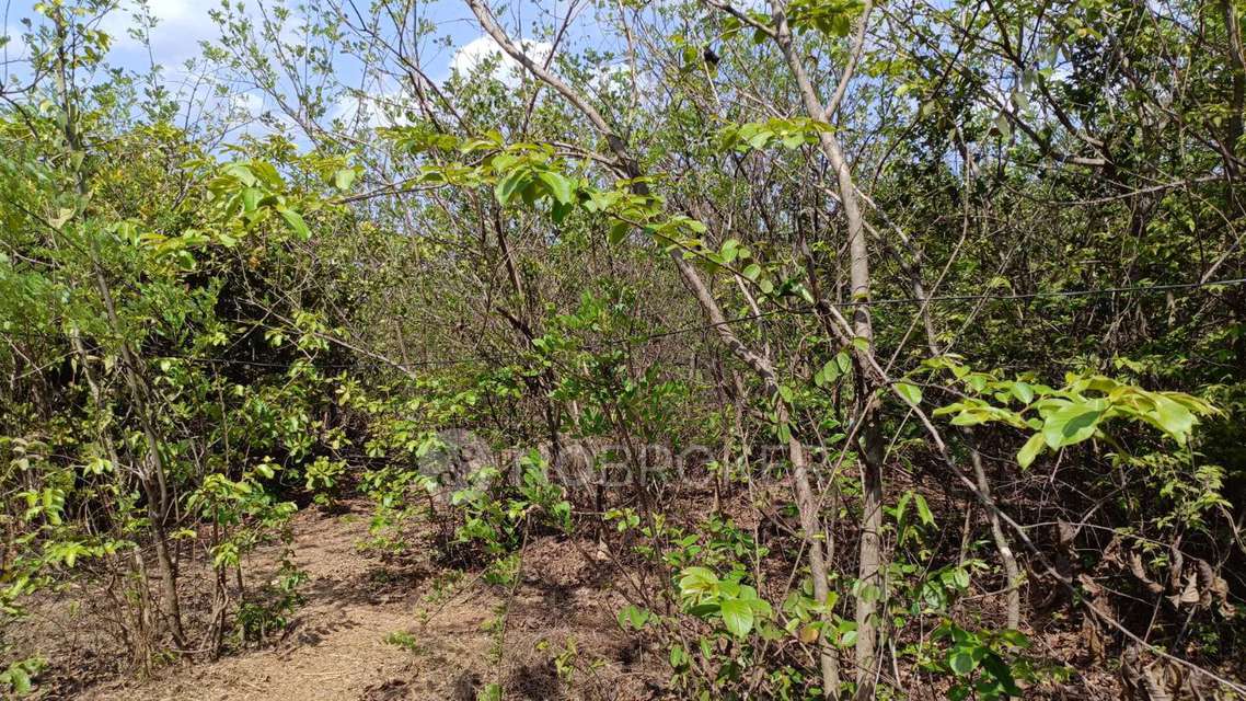 1 BHK Flat In Bonkode For Sale  In Kopar Khairane