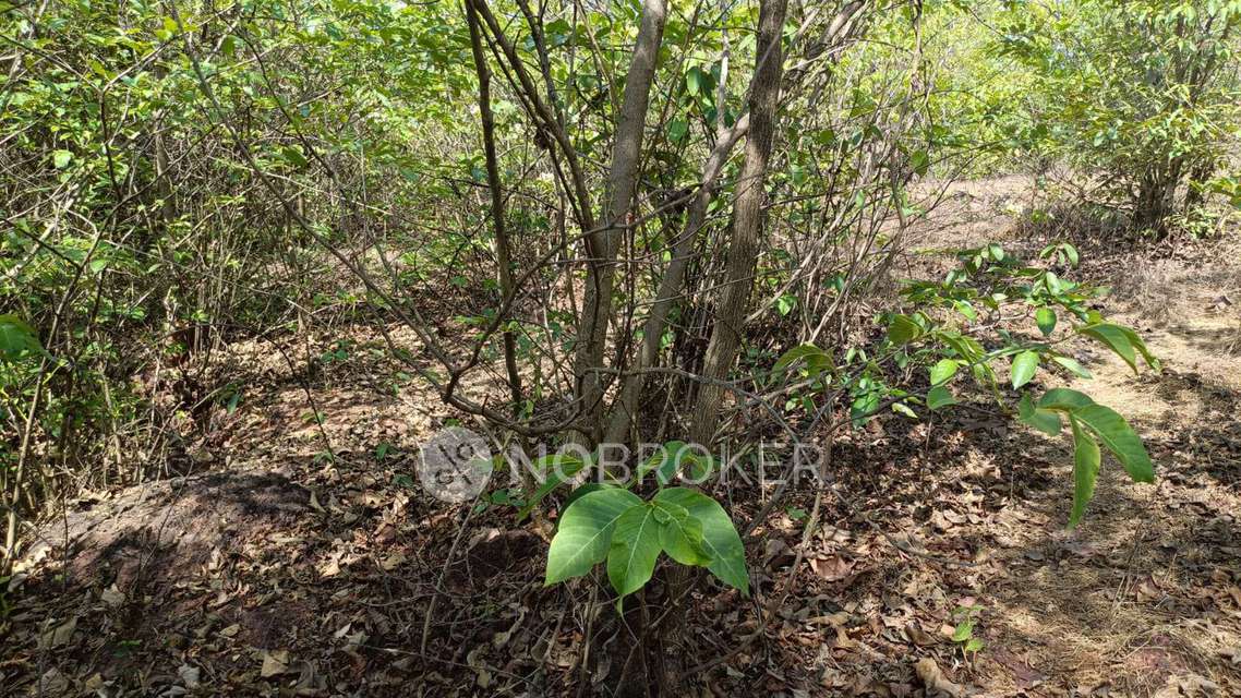 1 BHK Flat In Bonkode For Sale  In Kopar Khairane