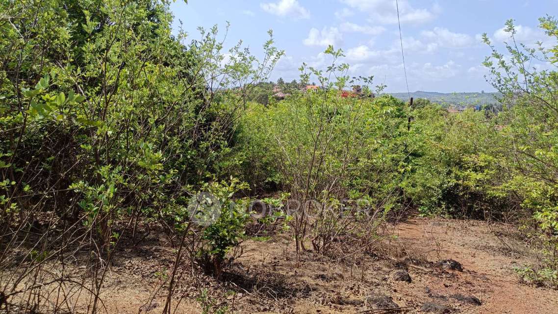 1 BHK Flat In Bonkode For Sale  In Kopar Khairane