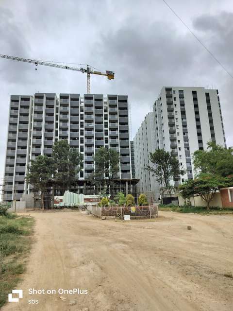 3 BHK Flat In Dsmax Skyshubham For Sale  In Ds Max Sky Shubham