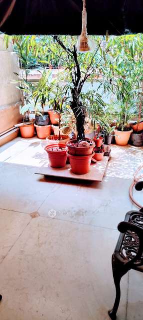 2 BHK Flat In Ashoka Chs, New Ashoka Chs for Rent  In Andheri West