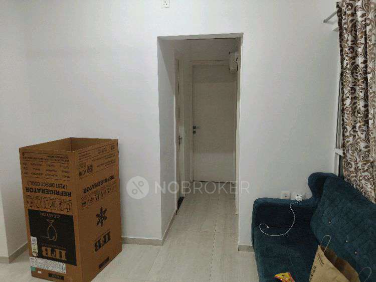 Shared Room for Male In 2 BHK  In  High Mont Phase 1 In Hinjewadi, Pune