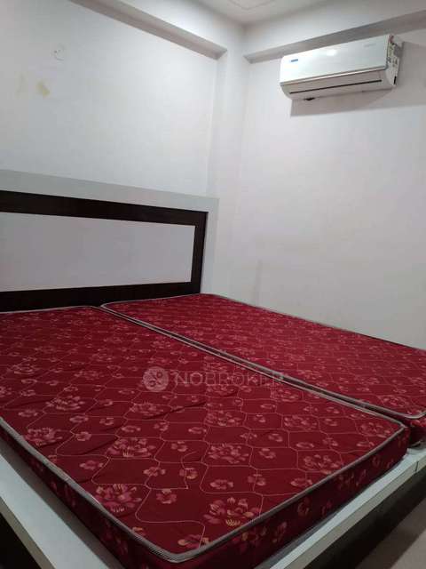 1 BHK Flat In Standalone Building  for Rent  In Sector 52